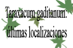 Taraxacum gaditanum: últimas localizaciones